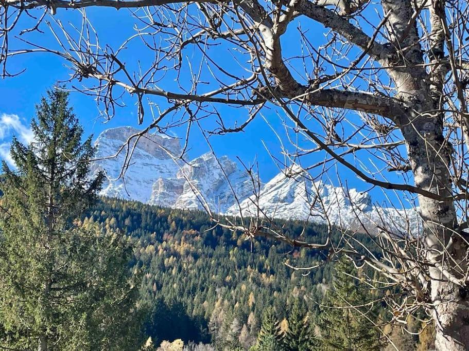 Home In Dolomiti Villanova  外观 照片